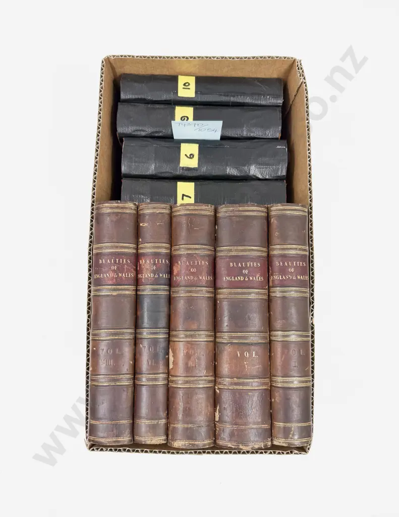 Small Box Assorted Antique Books Image 1++