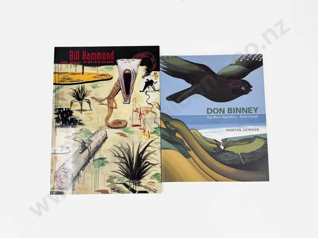 Damian Skinner - Don Binney & Dunedin Art Gallery - Bill Hammond 23 Big Pictures Image 1++