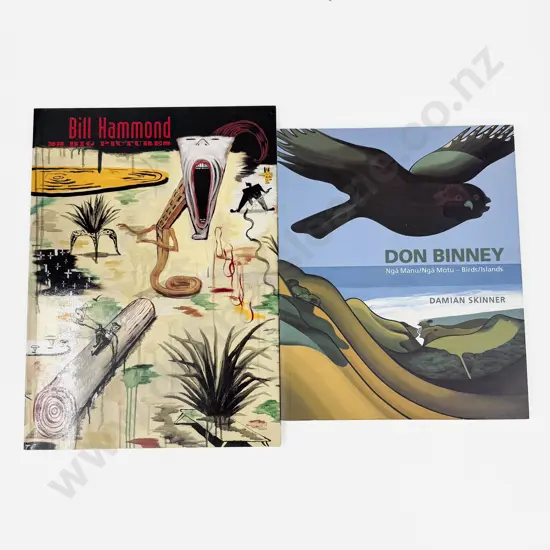 Damian Skinner - Don Binney & Dunedin Art Gallery - Bill Hammond 23 Big Pictures