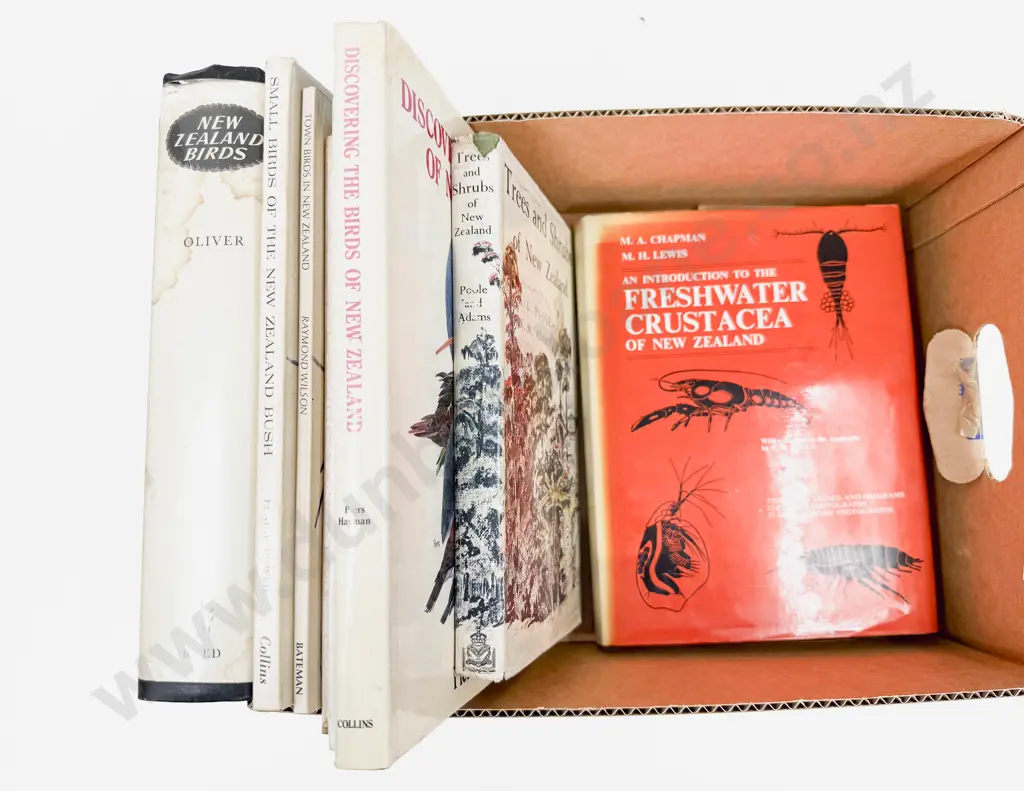 Box of Assorted NZ Nature Reference Image 1++