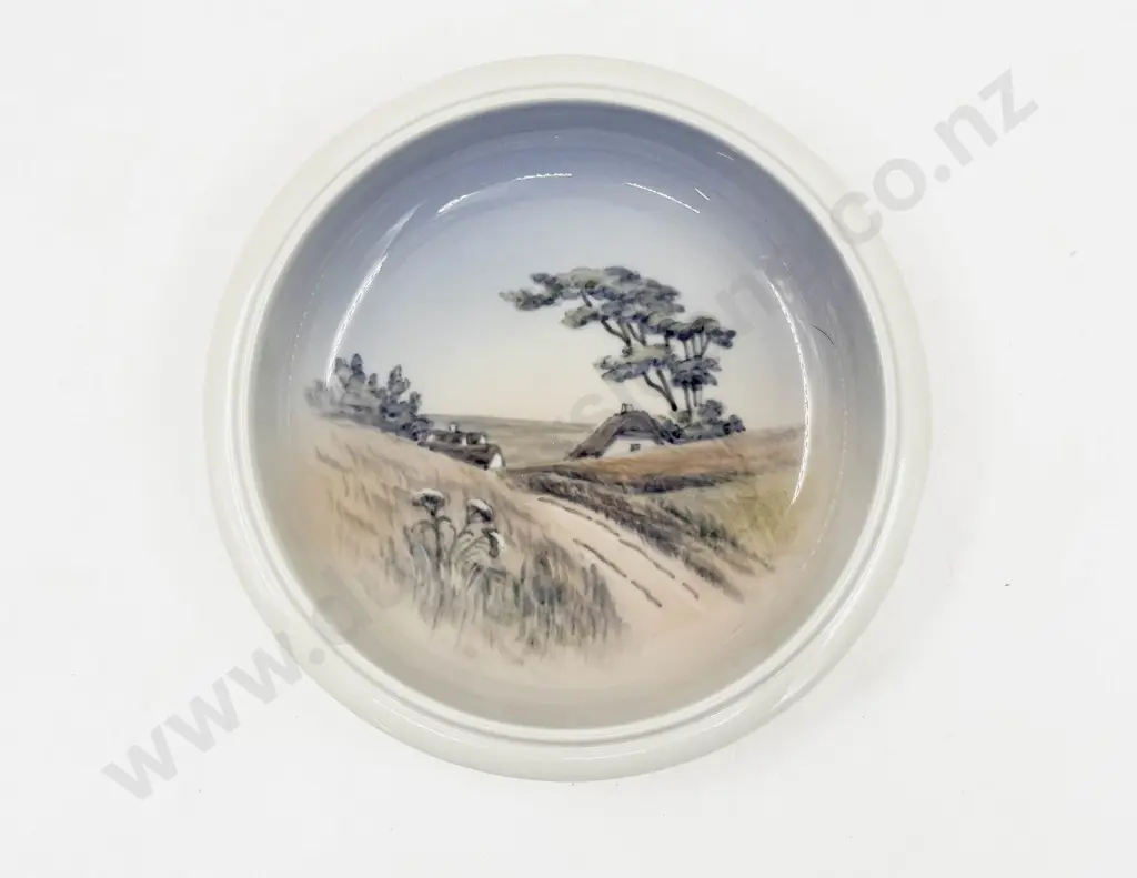 Royal Copenhagen Shallow Dish Image 1++
