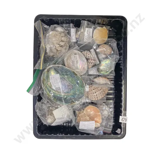 Box Qty of Assorted Shells