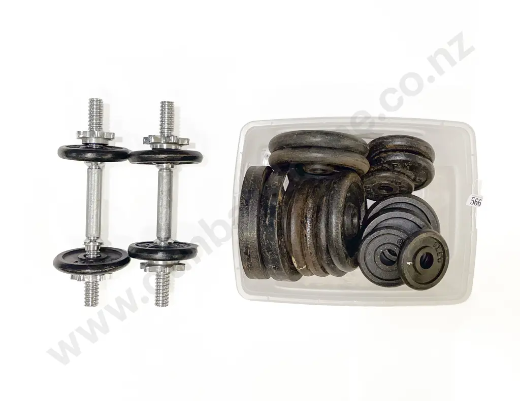 Qty of Assorted Vintage Weights with Pair of Dumb Bell Bars Image 1++