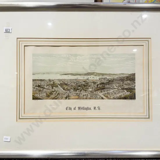 City of Wellington NZ Historical Print