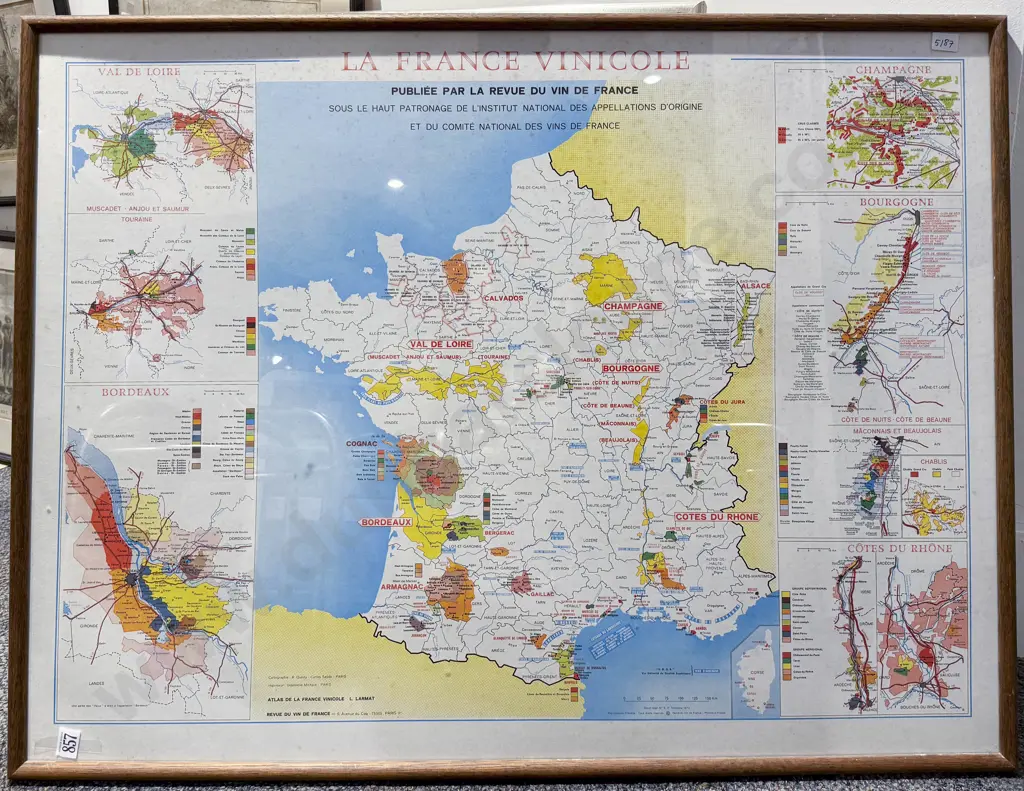 La France Vinicole Map Image 1++