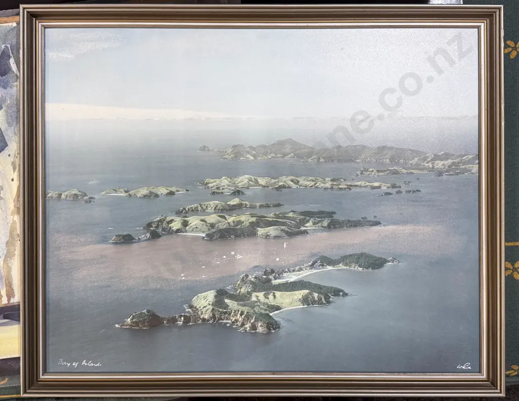 Whites Aviation - Bay of Islands Image 1++