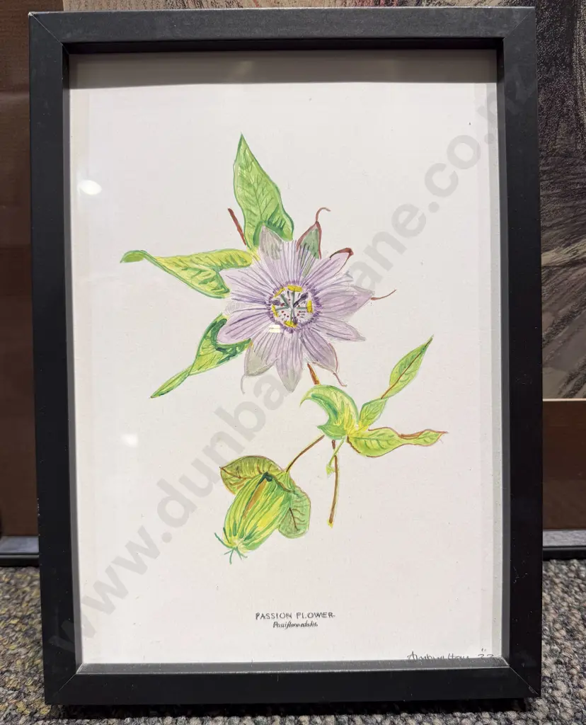 Qty of Assorted Framed Prints & Mirror Image 1++