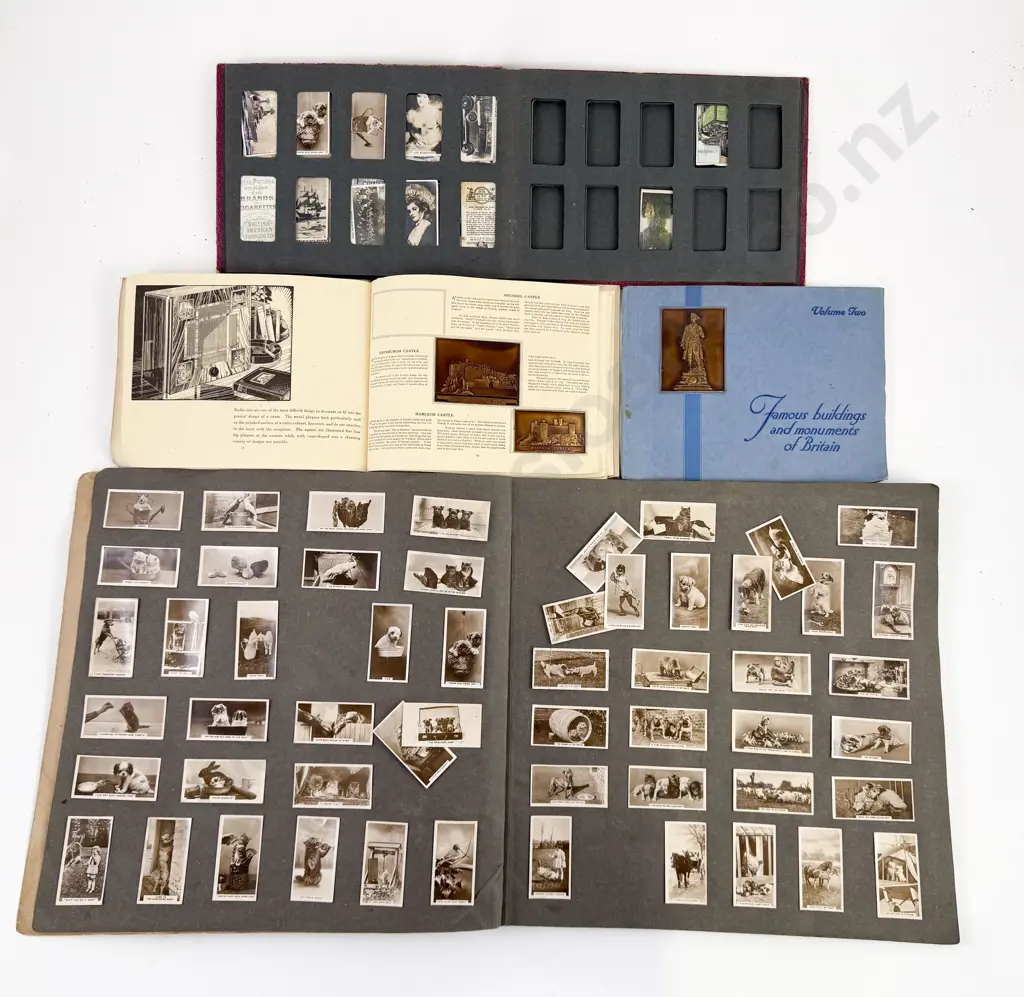 Collection Picture Cigarette Cards with Embossed Copper Cards Image 1++
