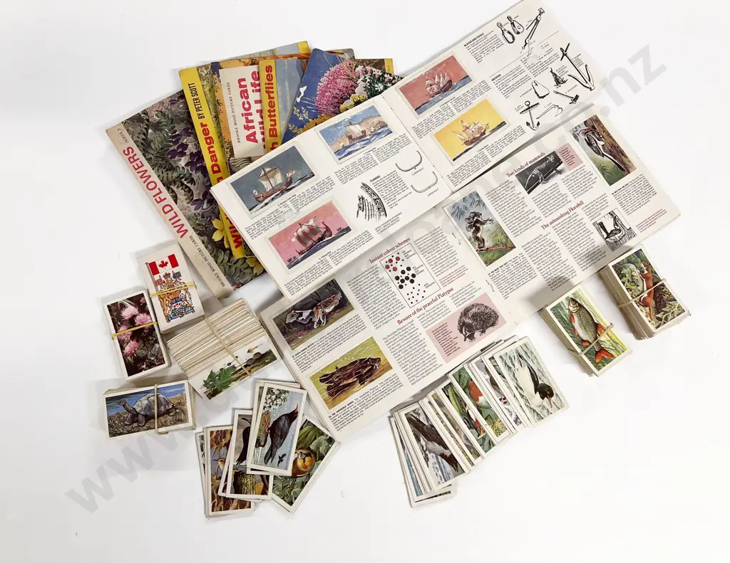 Collection Brook Bond Picture Card Albums and Cards Image 1++