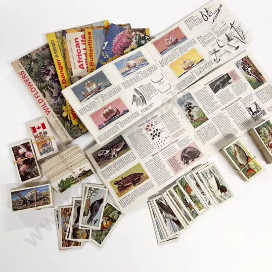Collection Brook Bond Picture Card Albums and Cards