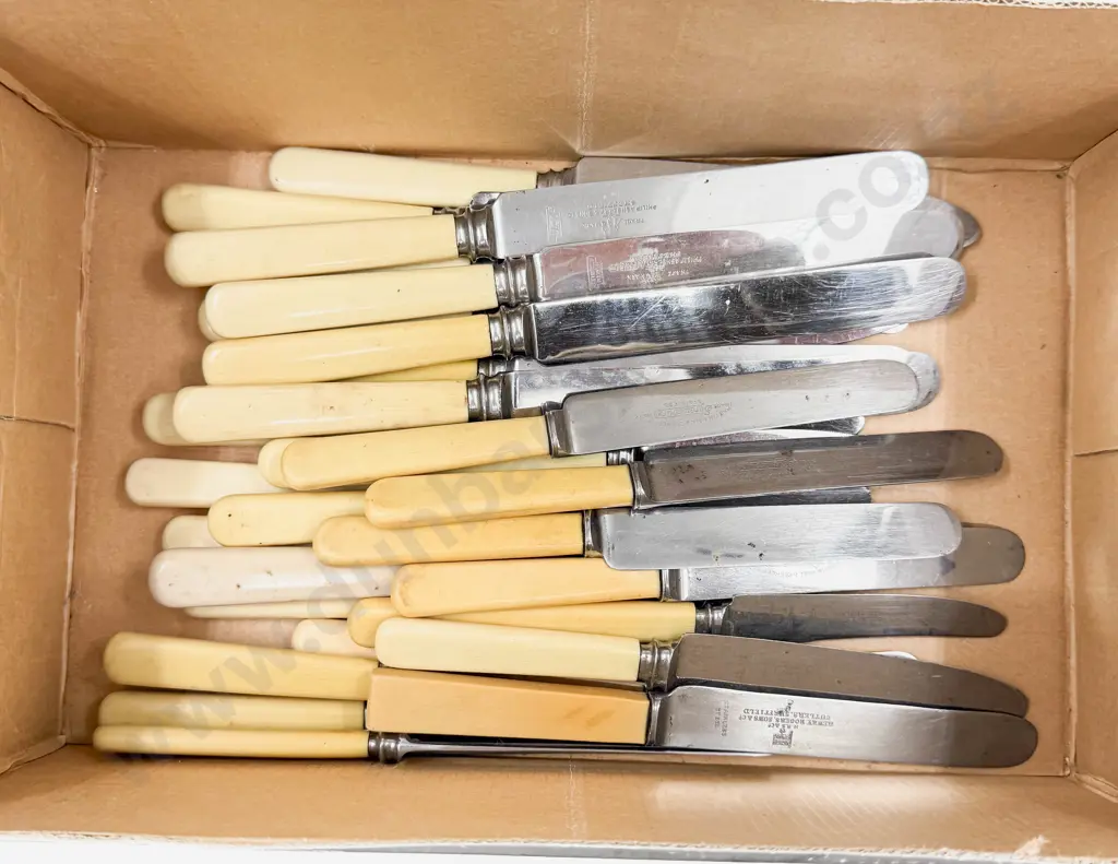 Qty of Assorted Bone Handled Knives Image 1++