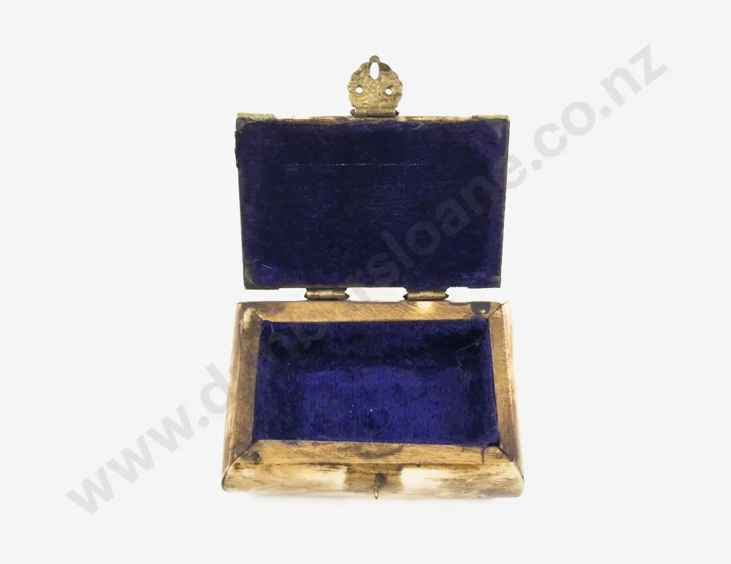 Vintage Bone and Brass Trinket Box Image 1++