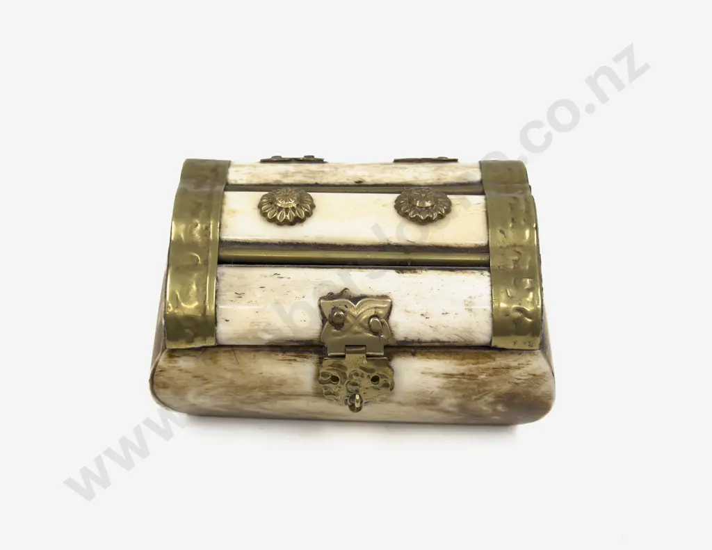 Vintage Bone and Brass Trinket Box Image 1++