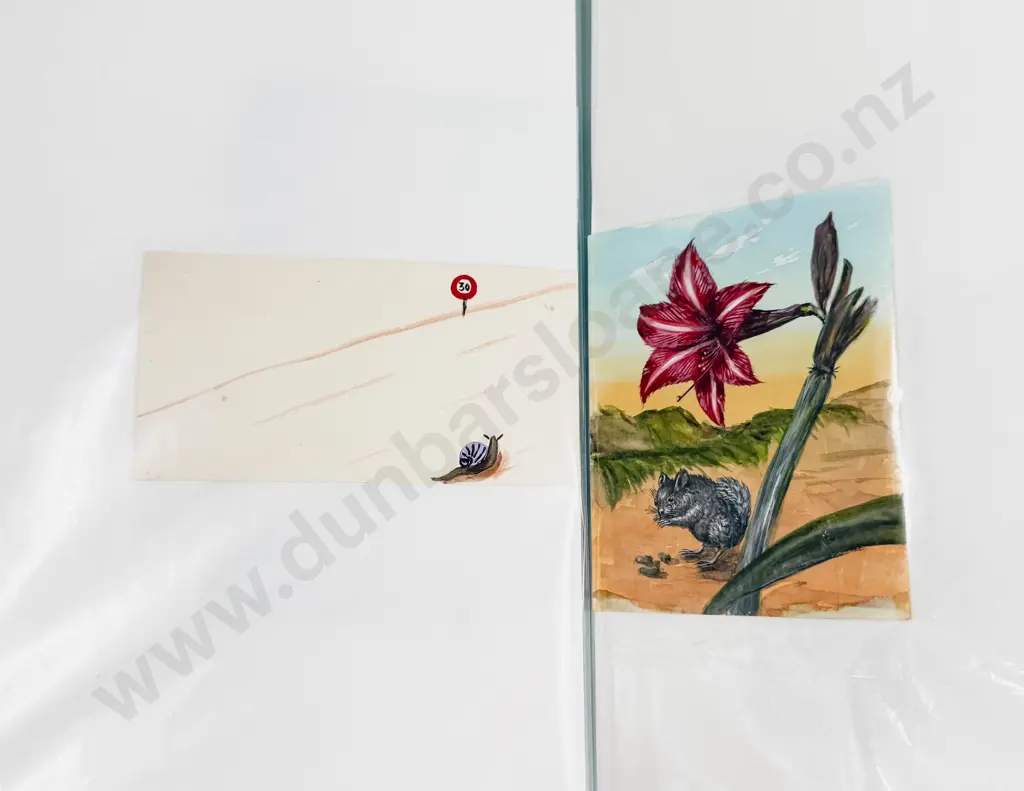 Folder of Assorted Loose Bird Study Artworks Image 1++