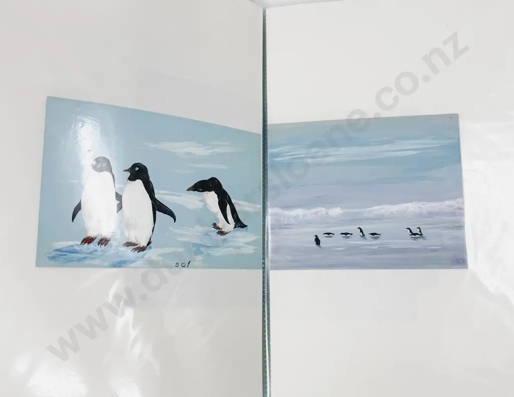 Folder of Assorted Loose Bird Study Artworks Image 1++