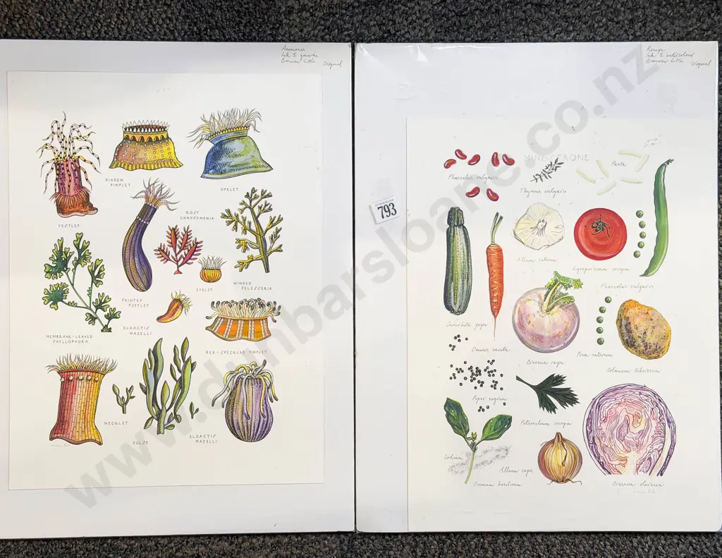 Bronwyn Little - Two Unframed Originals Image 1++