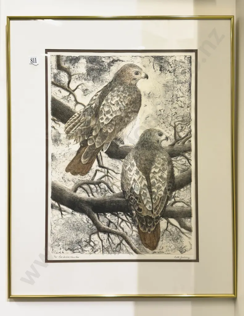 Ruth Zachary - Red Tailed Hawk - Aquatint Ltd Ed - 9/25 Image 1++