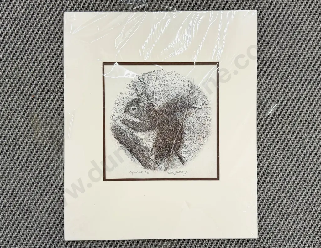 Ruth Zachary - Squirrel - Ltd Ed Etching 2/45 (unframed) Image 1++