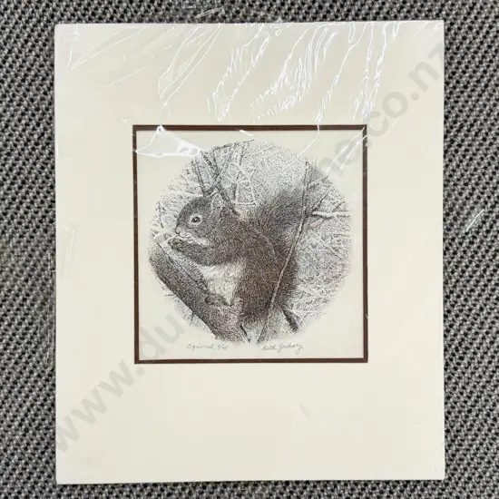 Ruth Zachary - Squirrel - Ltd Ed Etching 2/45 (unframed)