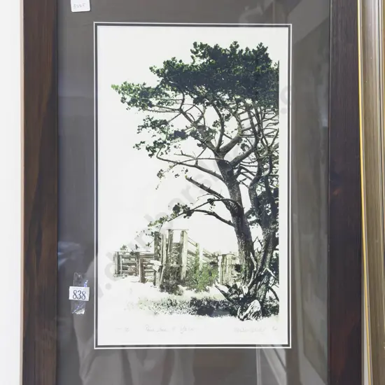 Indistinctly Signed - Dune Free & Yards - Ltd Ed Screenprint 17/80