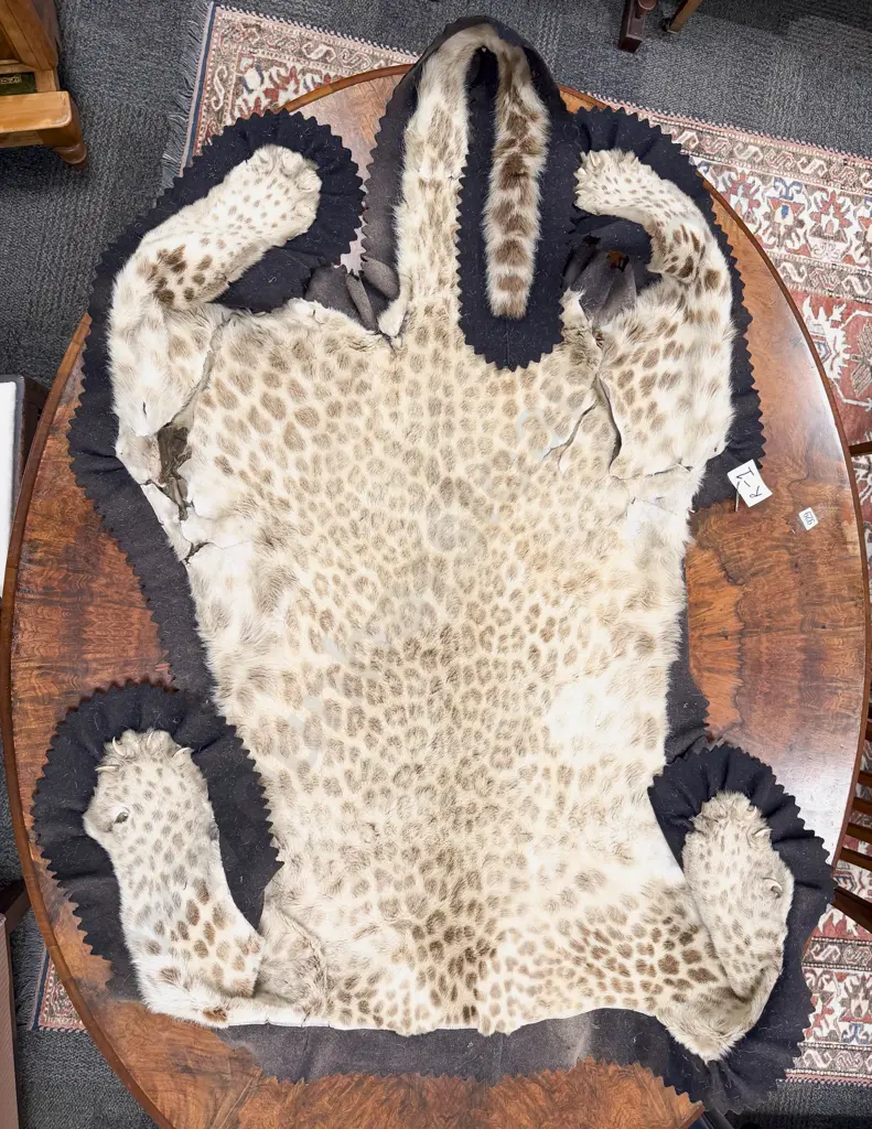 Antique Leopard Skin (a/f) Image 1++