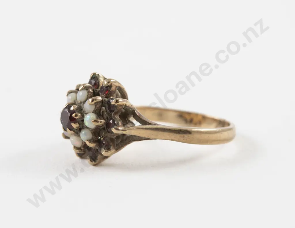 9ct 19Stone Garnet and Opal Cluster Ring Image 1++