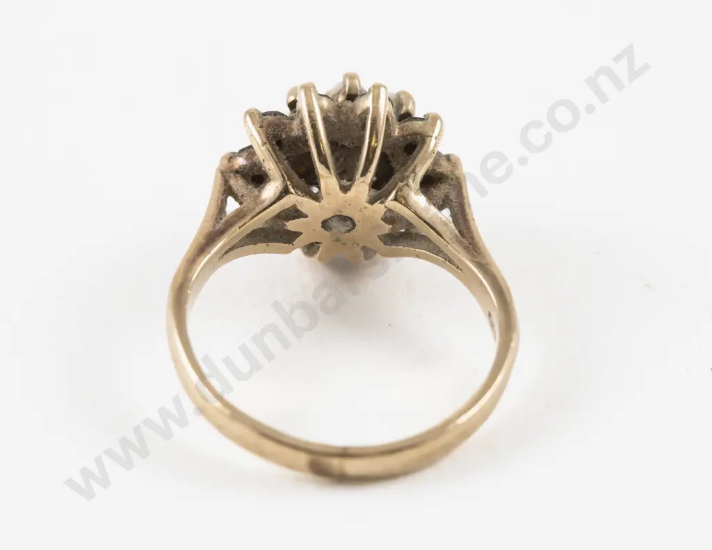 9ct 19Stone Garnet and Opal Cluster Ring Image 1++