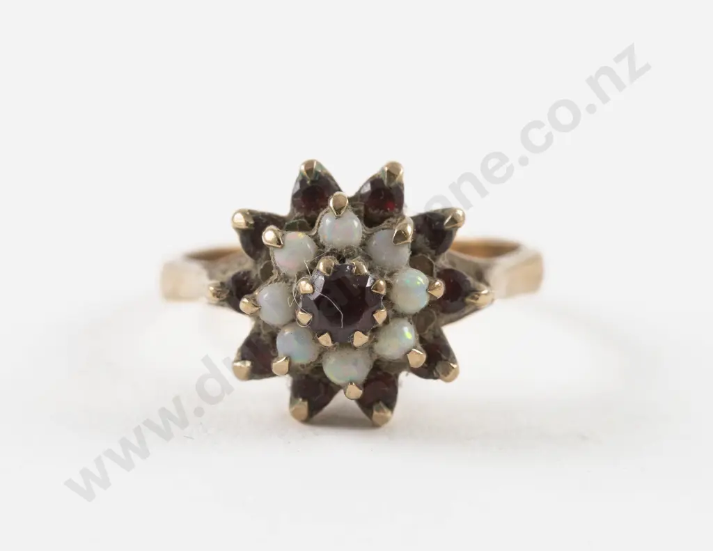 9ct 19Stone Garnet and Opal Cluster Ring Image 1++