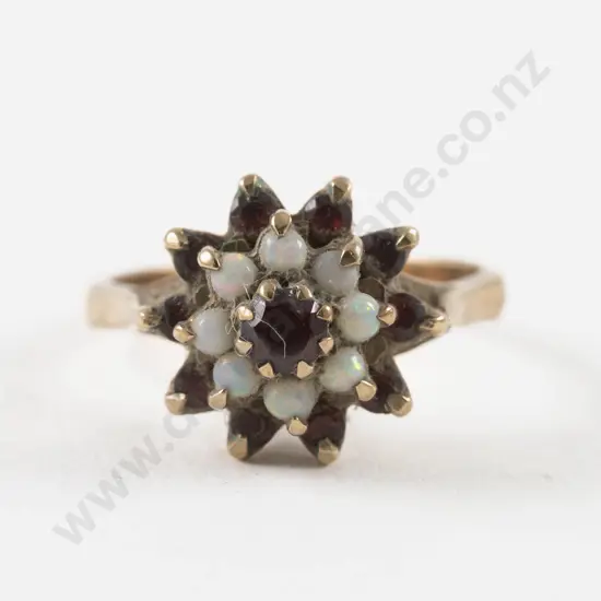 9ct 19Stone Garnet and Opal Cluster Ring