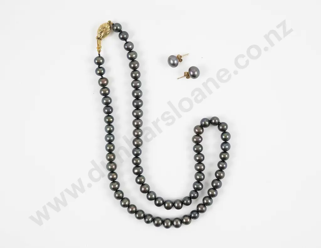 Isle of Wight Single Strand Black Tahitian Pearl Necklace Image 1++