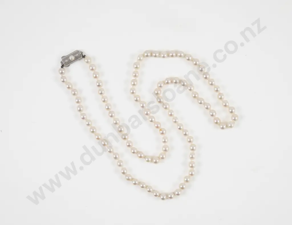 Mikimoto Single Strand Uniform Cultured Pearl Necklace Image 1++