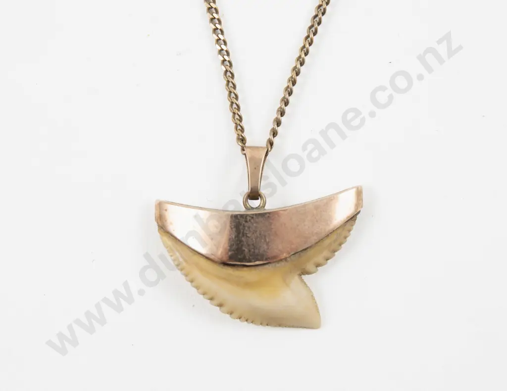 9ct Mounted Shark Tooth Pendant Image 1++