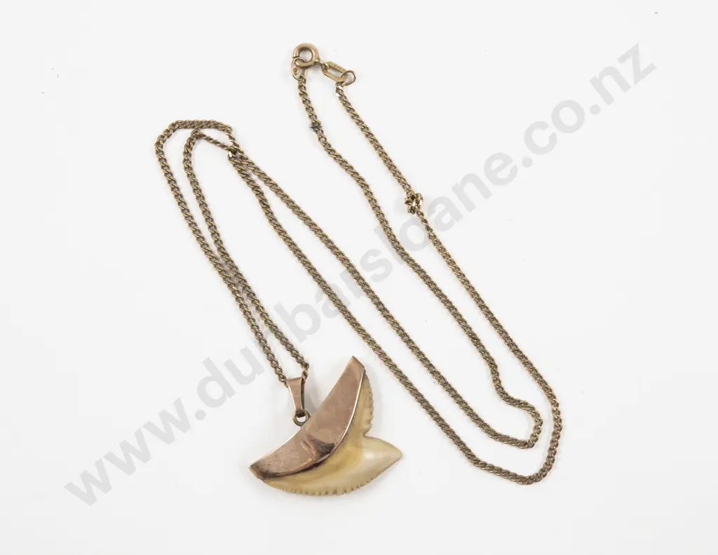 9ct Mounted Shark Tooth Pendant Image 1++