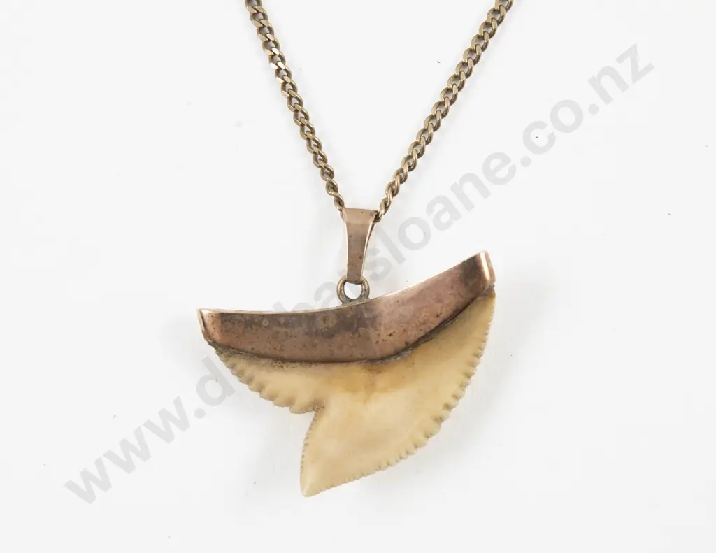 9ct Mounted Shark Tooth Pendant Image 1++