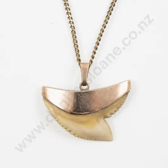 9ct Mounted Shark Tooth Pendant