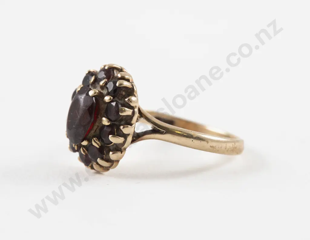 9ct Eleven Stone Garnet Cluster Ring Image 1++