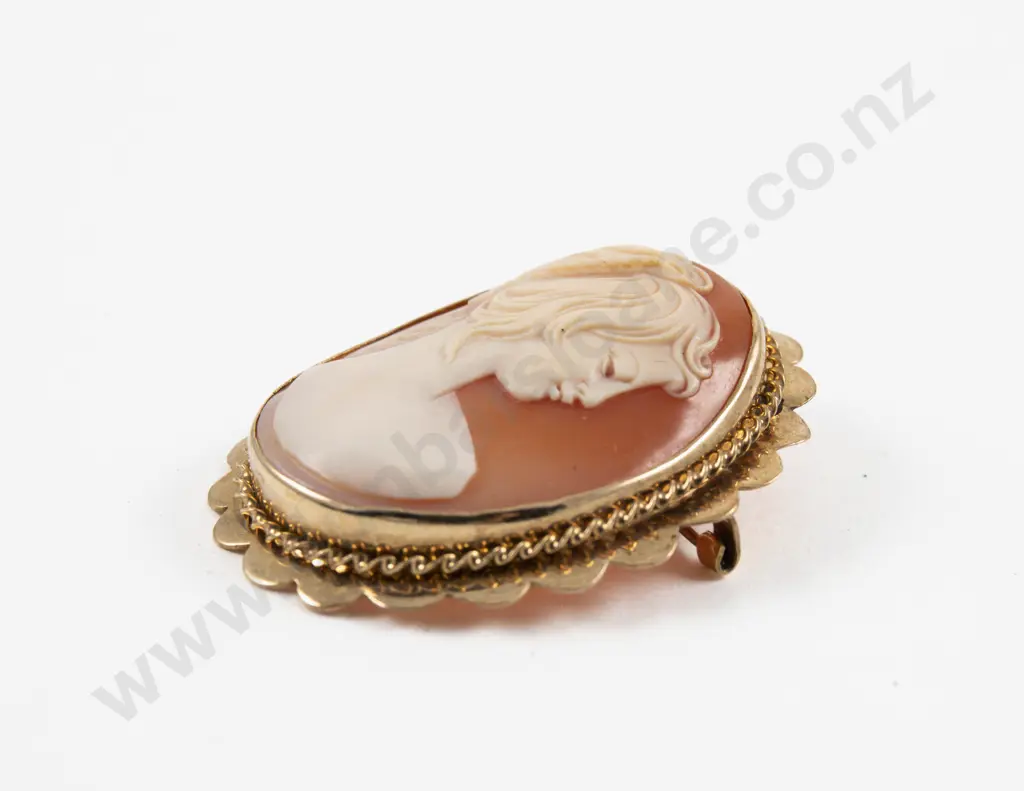 9ct Framed Classical Portrait Cameo Brooch Image 1++