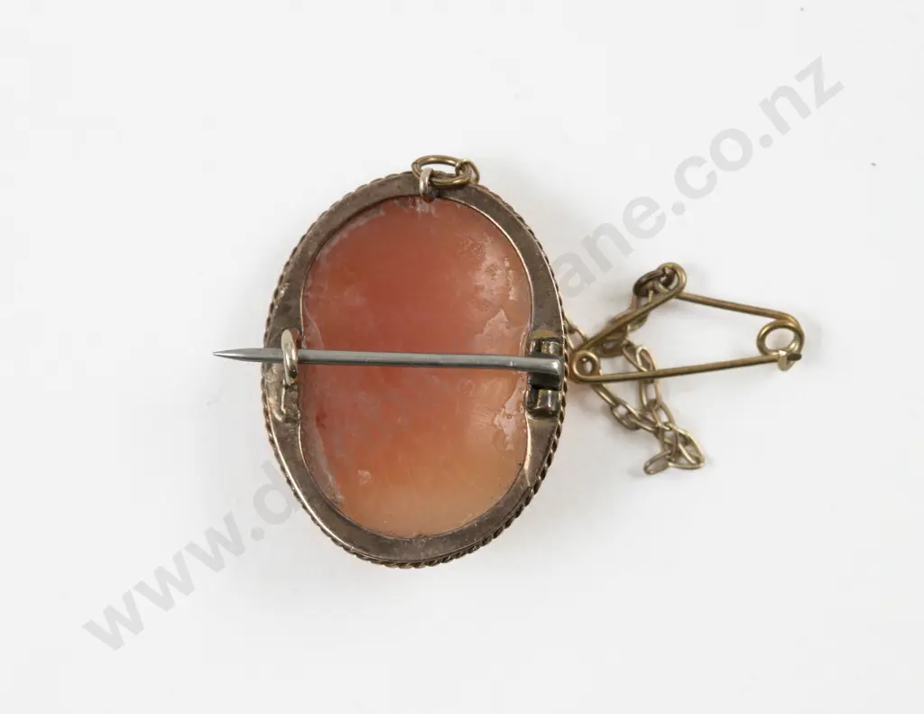 9ct Framed Classical Portrait Cameo Brooch Image 1++