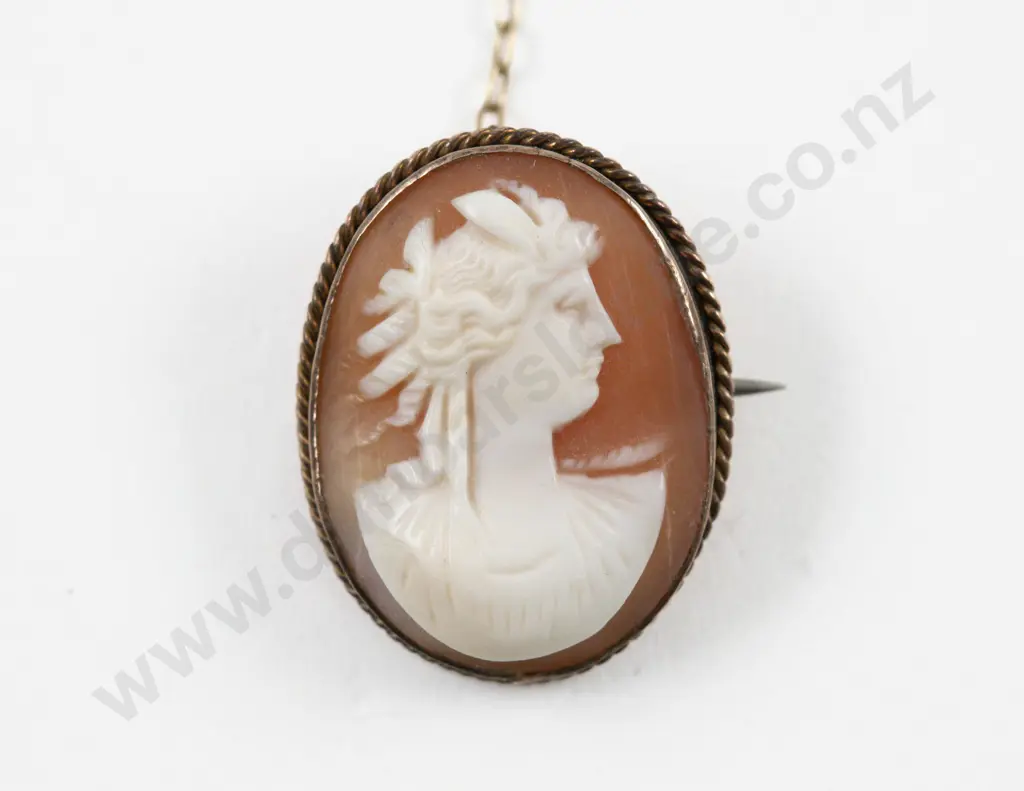 9ct Framed Classical Portrait Cameo Brooch Image 1++