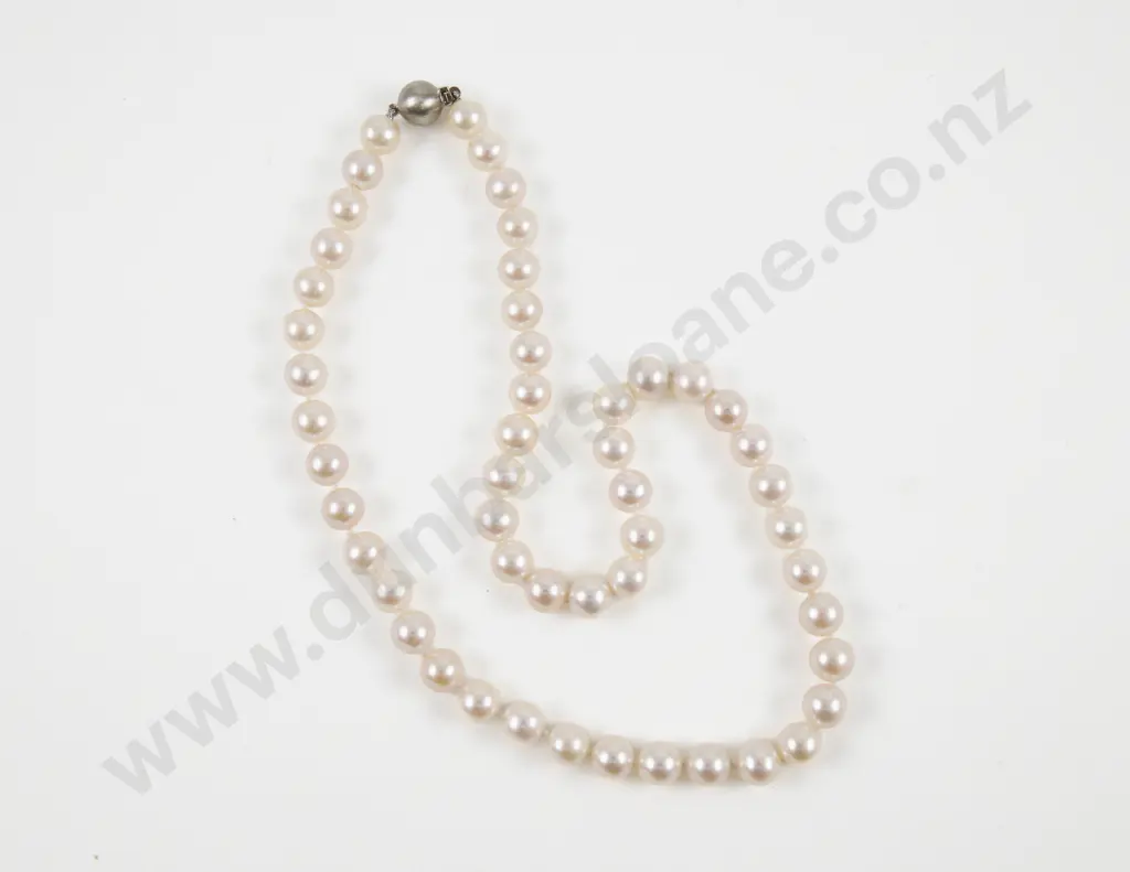 Single Strand Uniform Cultured Pearl Necklace Image 1++