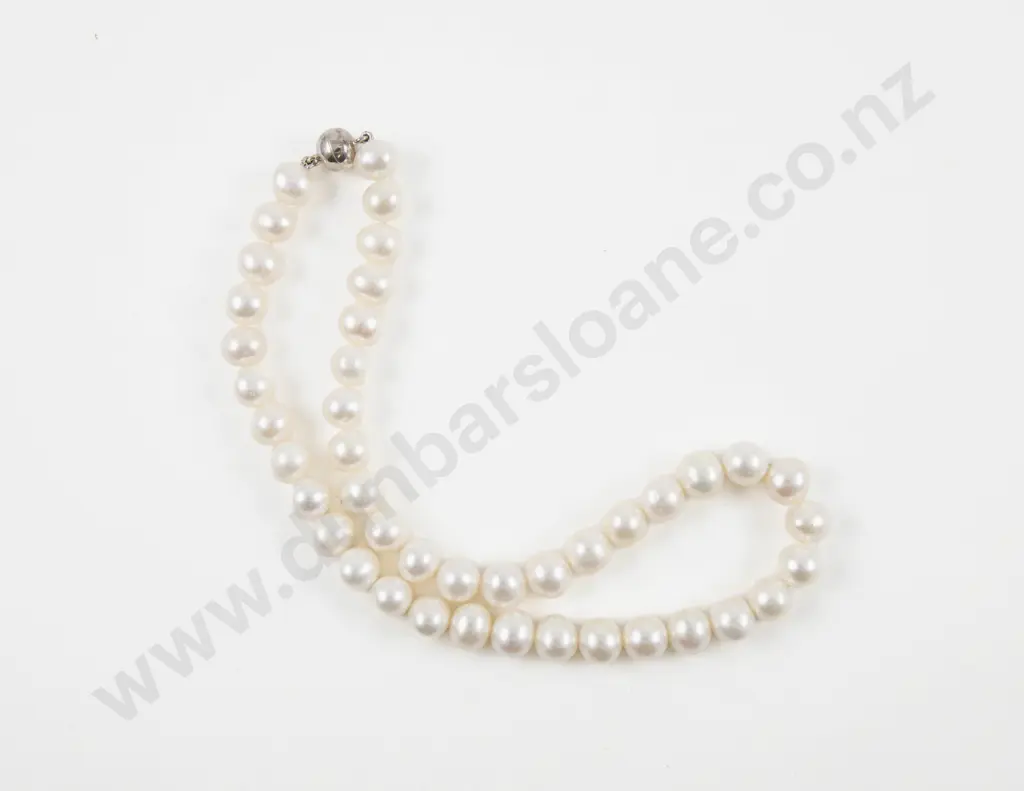 Single Strand Uniform Fresh Water Pearl Necklace Image 1++