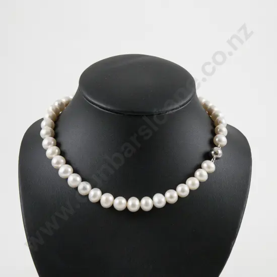 Single Strand Uniform Fresh Water Pearl Necklace