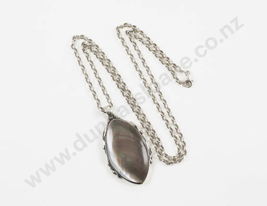 S/S NZ Paua Pendant Image 1++