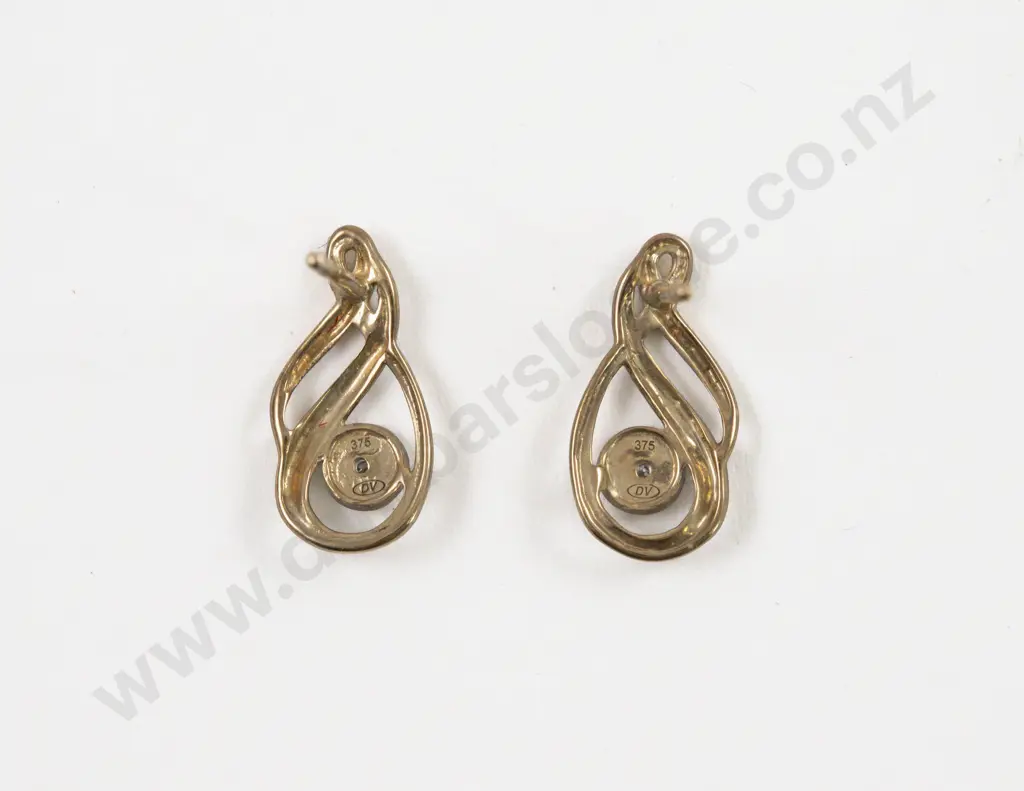 Pair 9ct Yellow and White Gold Single Stone Diamond Stud Earrings Image 1++