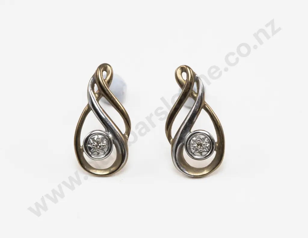 Pair 9ct Yellow and White Gold Single Stone Diamond Stud Earrings Image 1++