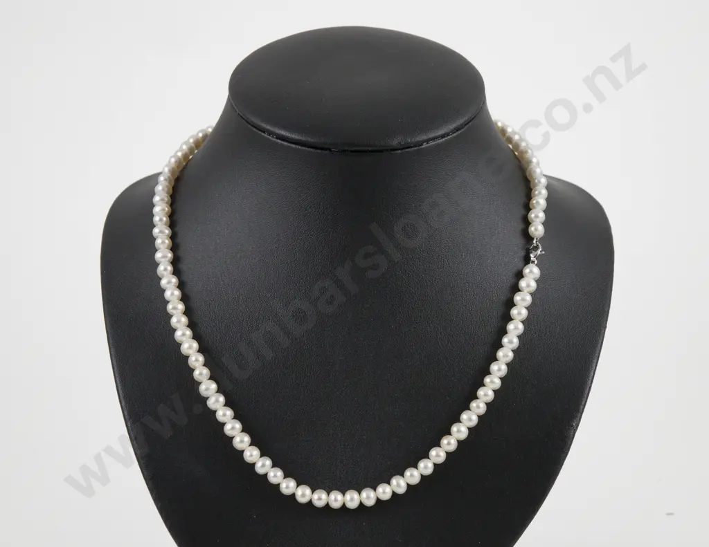 Single Strand Uniform Fresh Water Pearl Necklace Image 1++