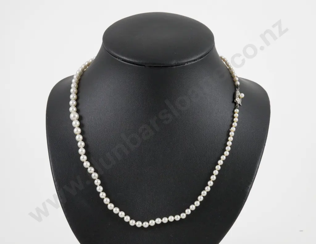 Single Strand Slightly Graduated Cultured Pearl Necklace Image 1++