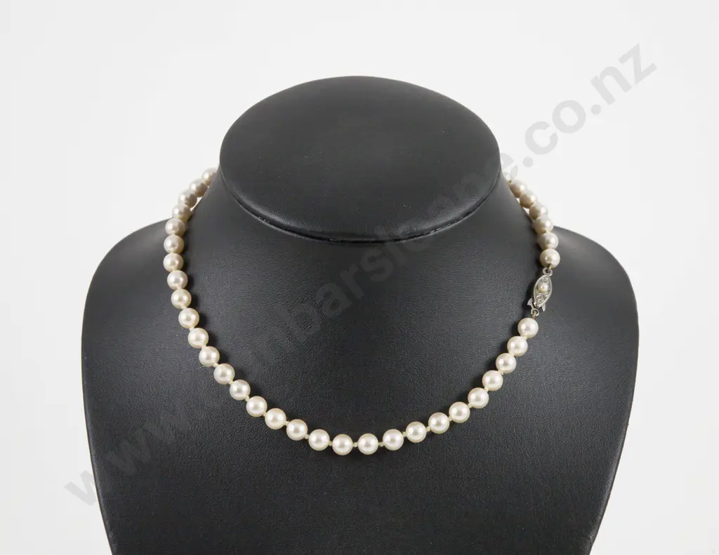 Single Strand Uniform Cultured Pearl Necklace Image 1++