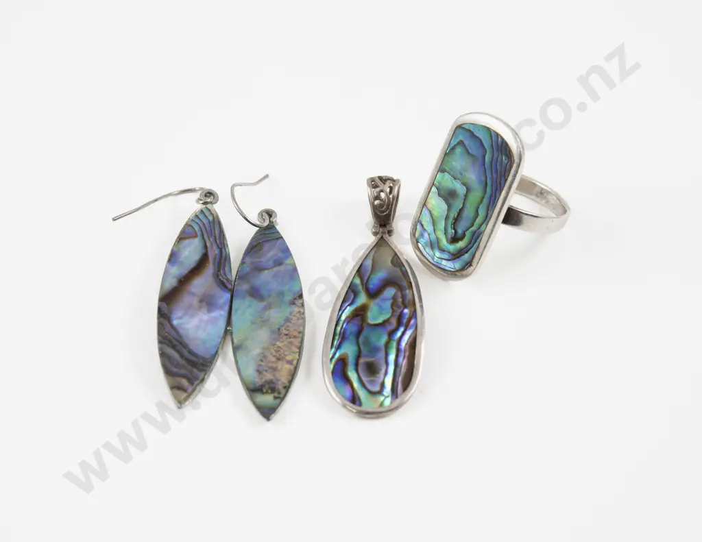 Collection of S/S and NZ Paua Jewellery Image 1++