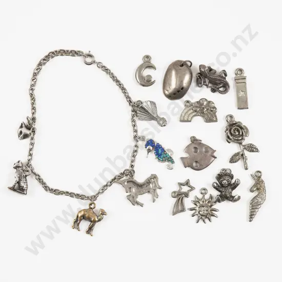 Curb Link Charm Bracelet with 17 Charms